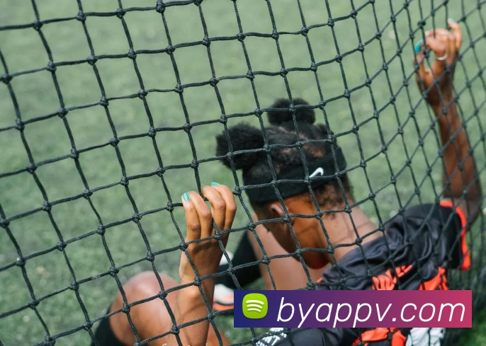 必赢体育App发展历程